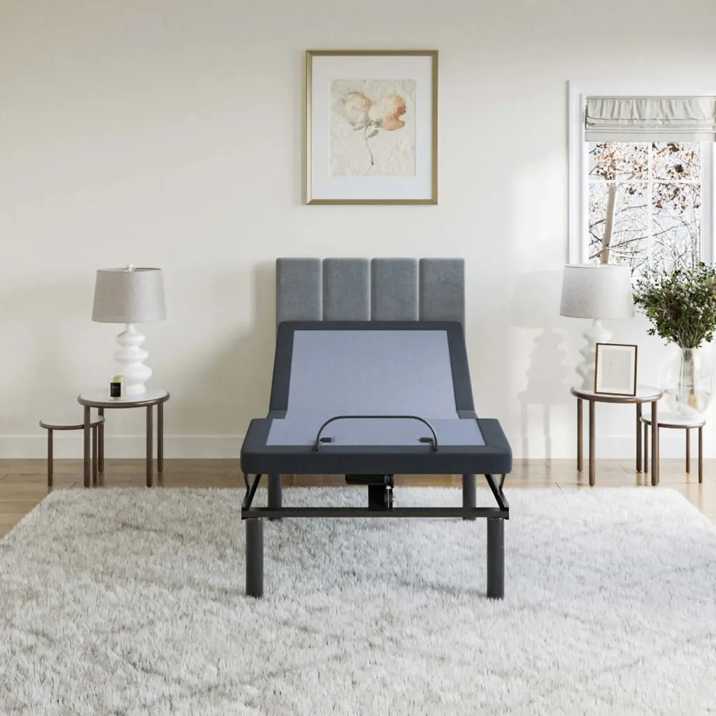 BT2500 Twin Adjustable Bed Blue Gray Upholstered omne sleep