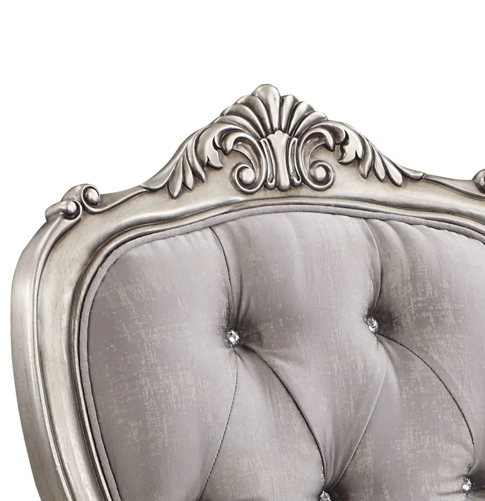 Ariadne Arm Chair Set 2, Velvet & Antique Platinum Finish Dn02283 Living Room acme onsite store