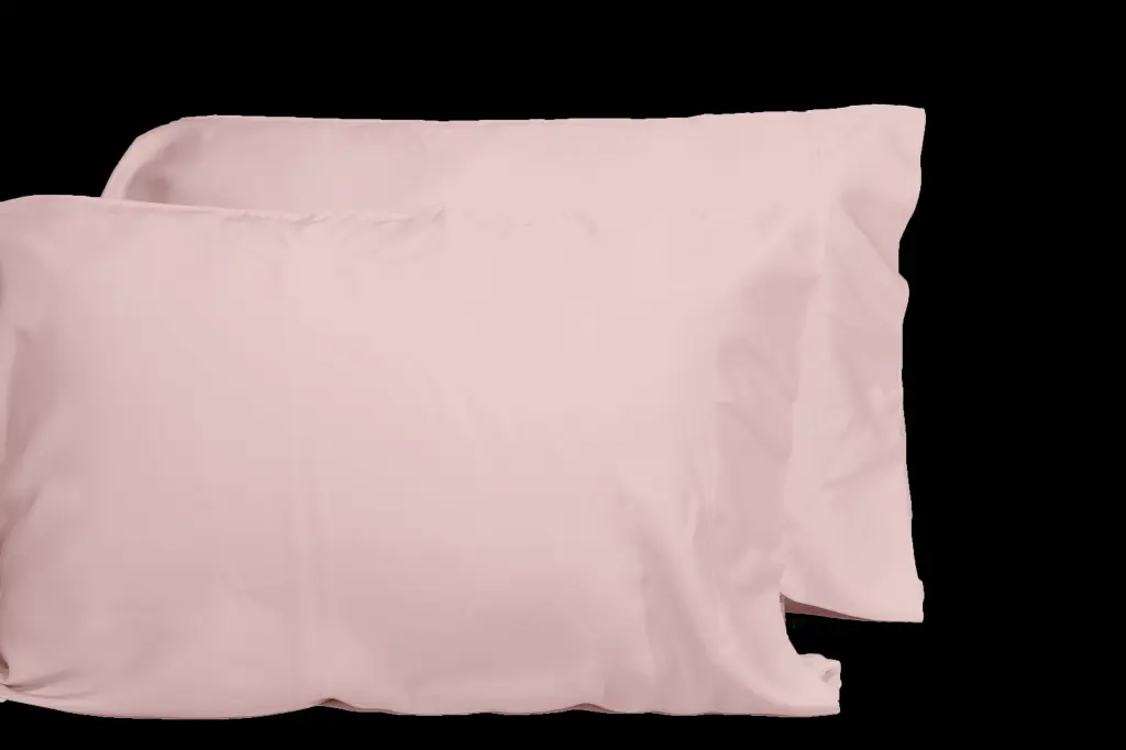 Opulent Viscose From 100% Bamboo 2 Piece Pillowcase Set OEKO TEX Certified dty home