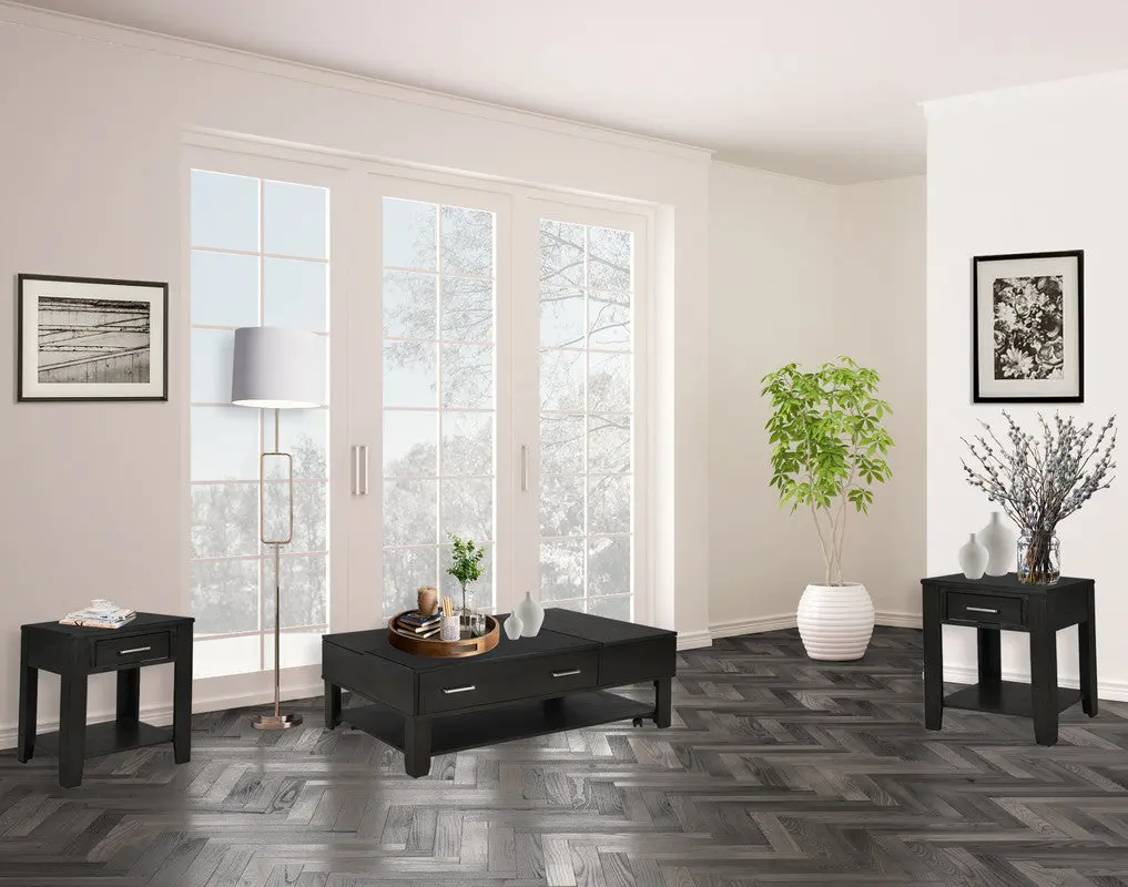Bruno 3 Piece Ash Gray Wooden 48 Inch Lift Top Coffee and End Table Set lilola home