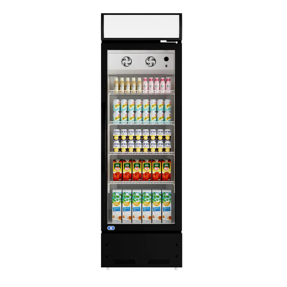 23 Inch Single Glass Door Refrigerator Led Lights Inside Catsers Compact Fridge fricool