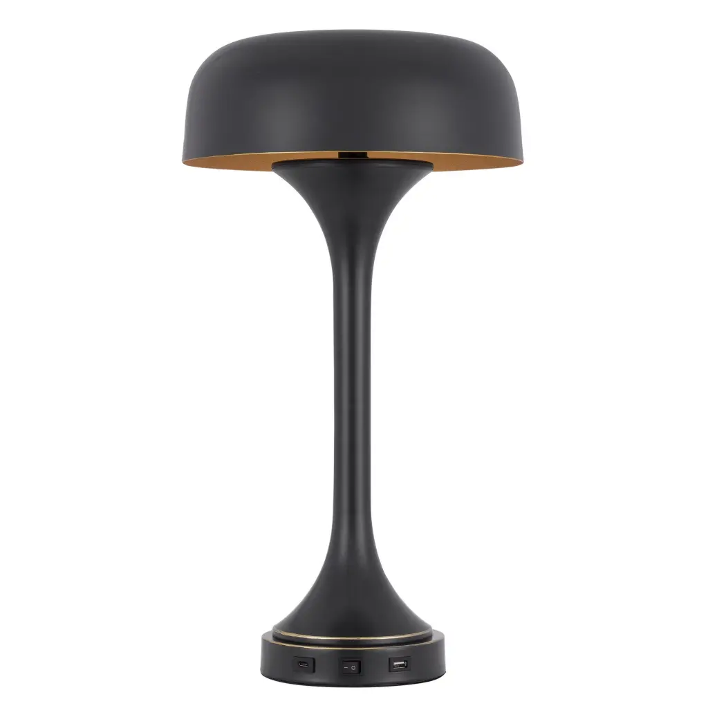 Emma 22 Inch Modern Desk Lamp 2 USB and 1 Type C Charging Port Dark Bronze royal hampton