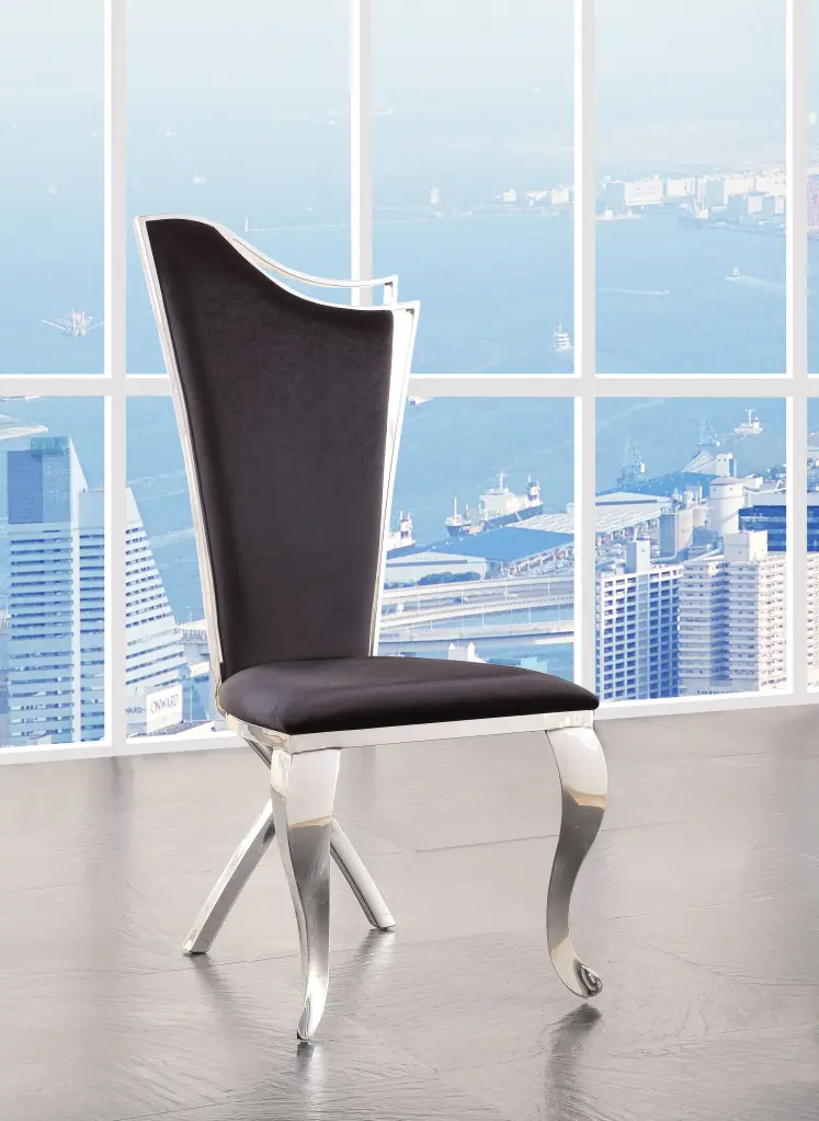 Black Stainless Steel Side Chair X Back Leg Set 2 Modern Chairs furniture max