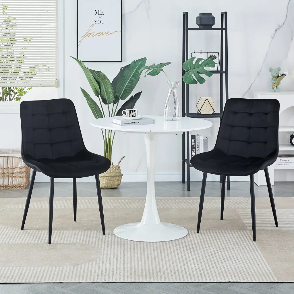 2Pcs Black Modern Dining Chairs Technology Design Restaurants sailway