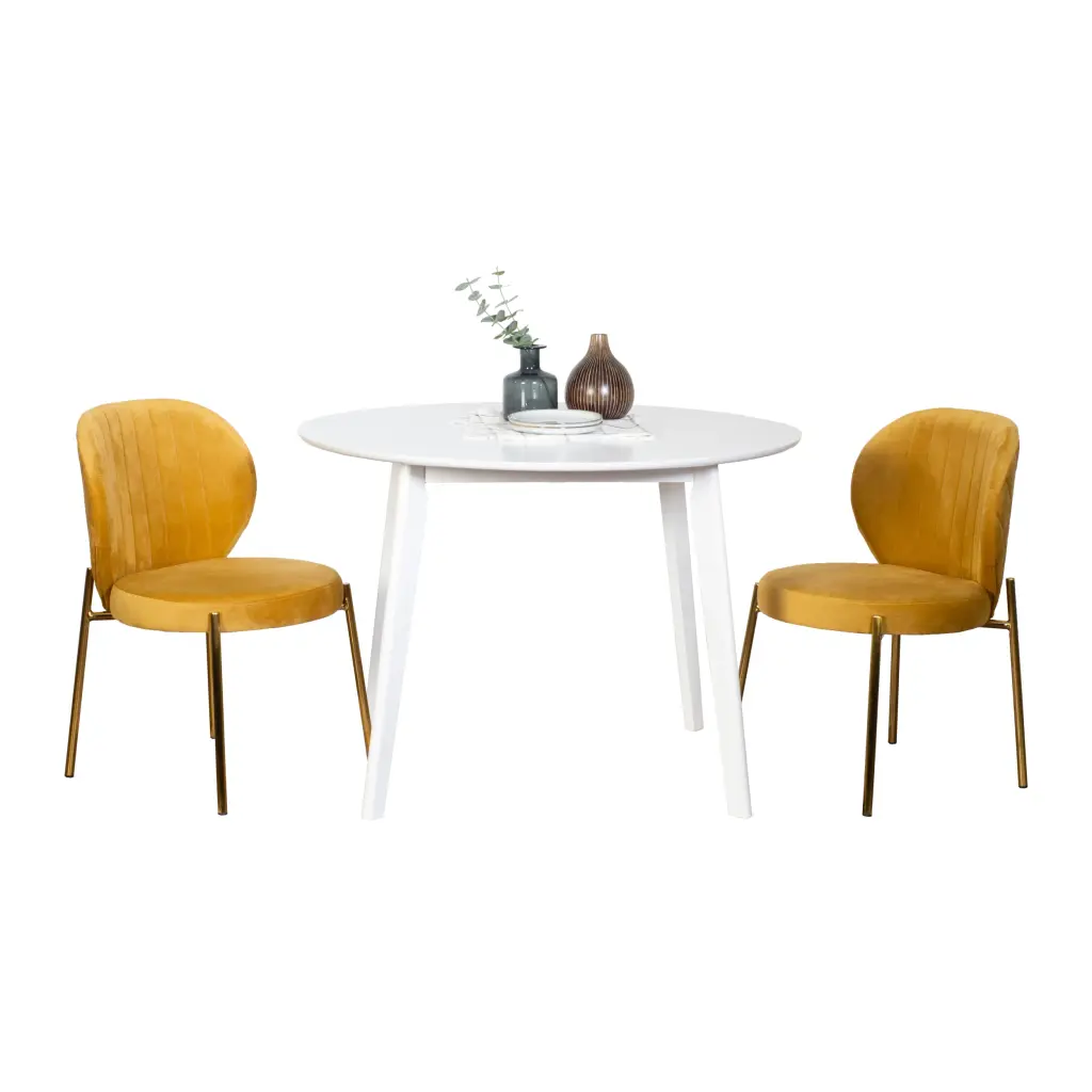 Amoa Contemporary 3 Piece Dining Set White Round Dining Table 2 Chairs hz