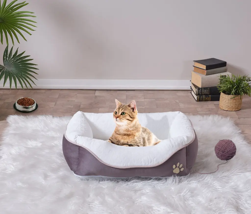 Lina Pet Bed Anthracite Large Size 23 X 29 Inch Pet Bed Dogs And Cats furnia