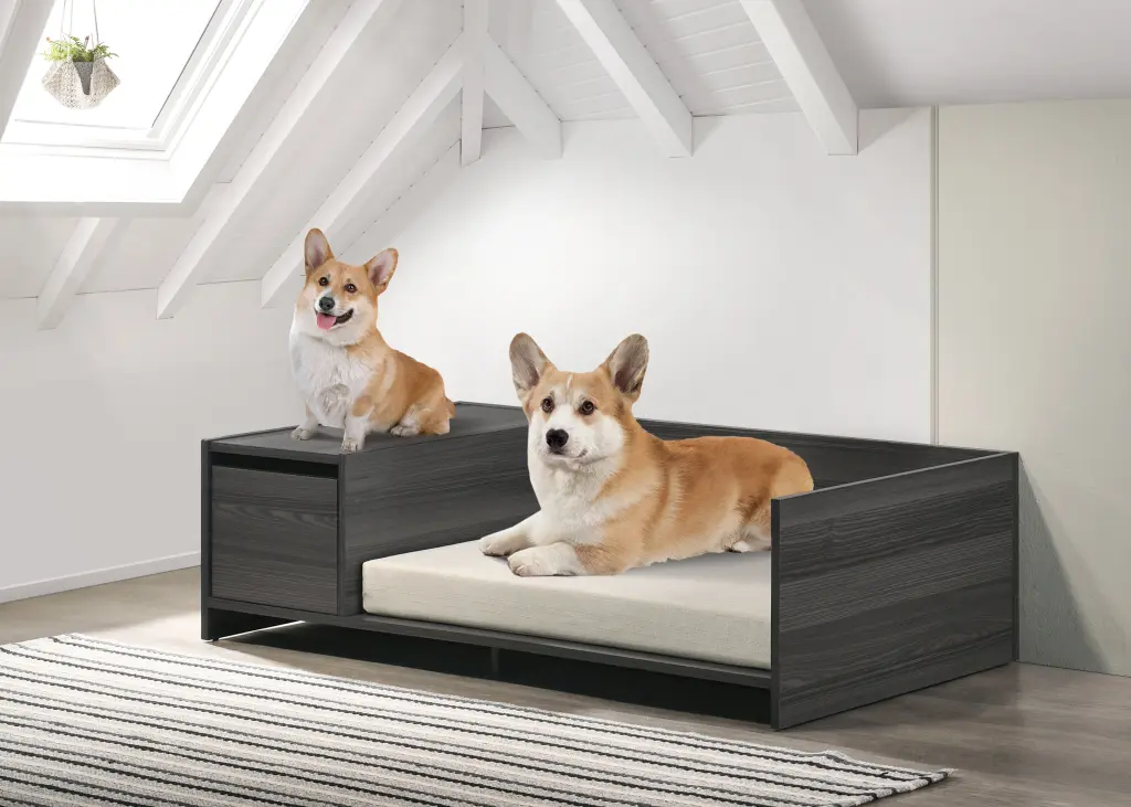 Esme Ash Gray 47" Wide Modern Comfy Pet Bed Cushion And Side Storage lilola home