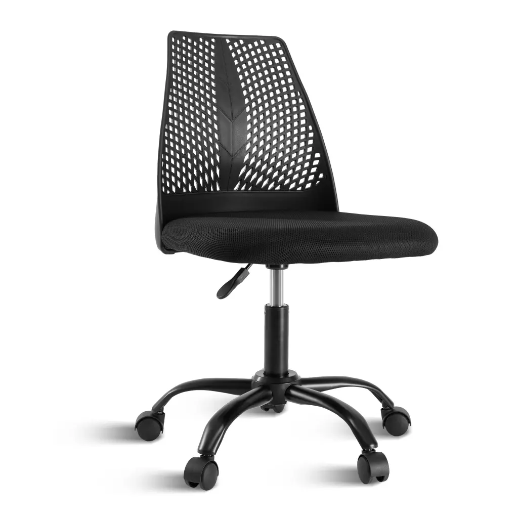 Ergonomic Office And Home Chair Substantial Cushioning Black w1134dhs