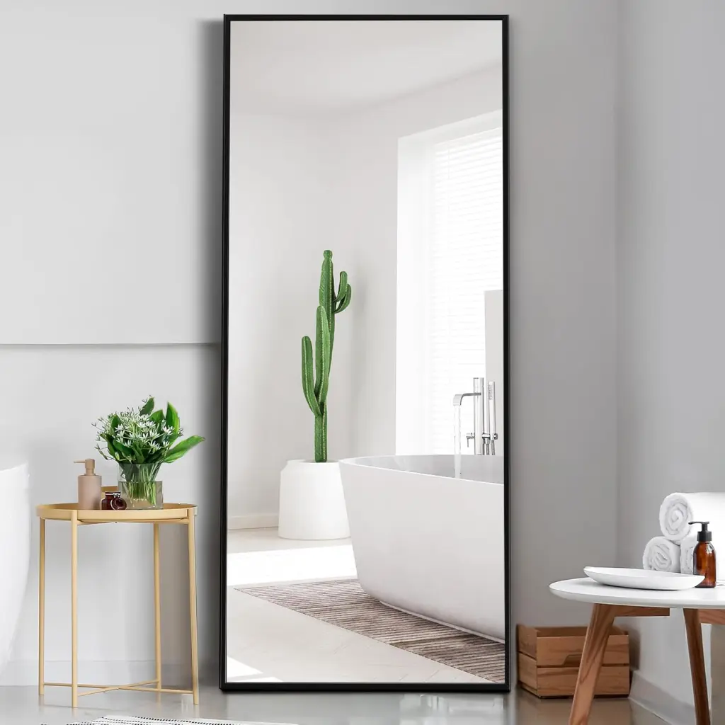 Dolonm Full Length Mirror Stand 71X24 Inches Aluminum Alloy Body t2956