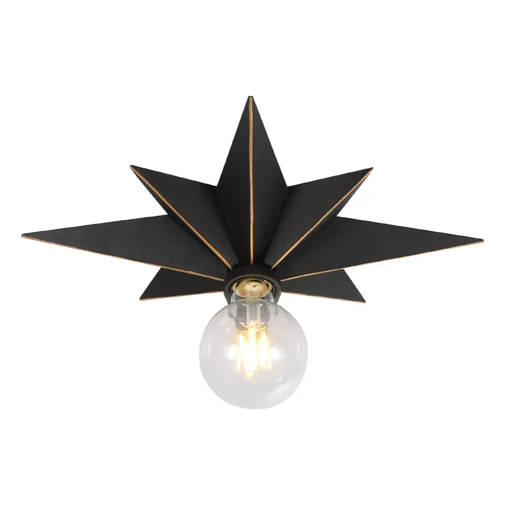 16 Inch Flush Mount Ceiling Light Industrial Black Metal Star Design dfzj