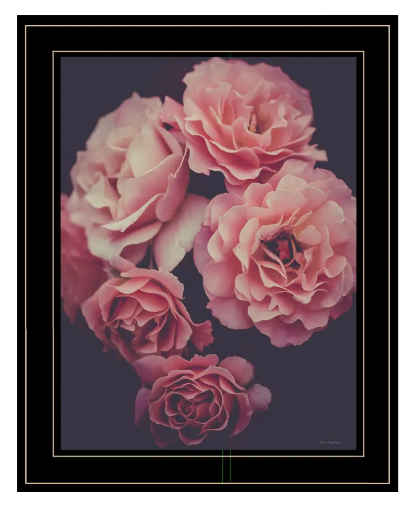 Dreamy Rose Seven Trees Design Ready To Hang Framed Print Black Wall Art trendy decor 4u