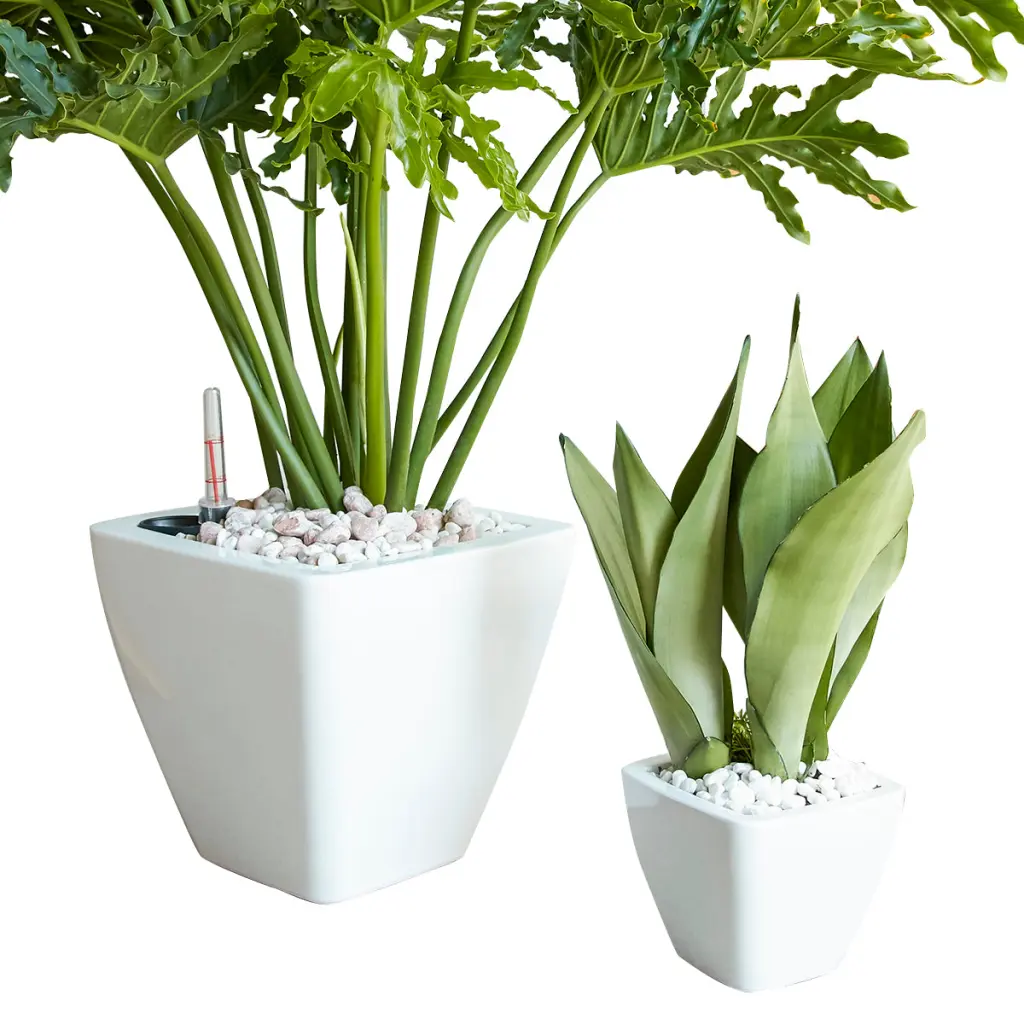 2 Pack Intelligent Self Watering Planter Pot Indoor And Outdoor White Square Planters dty home
