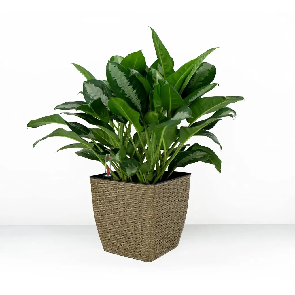 2 Pack Self Watering Planter Hand Woven Wicker Thin Square Natural Indoor Planters dty home
