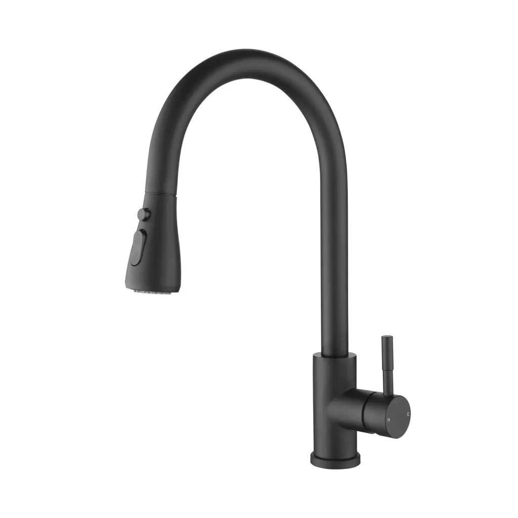 Kitchen Faucet Pull Out Spray Matte Black Stainless Steel w928 dongtu group