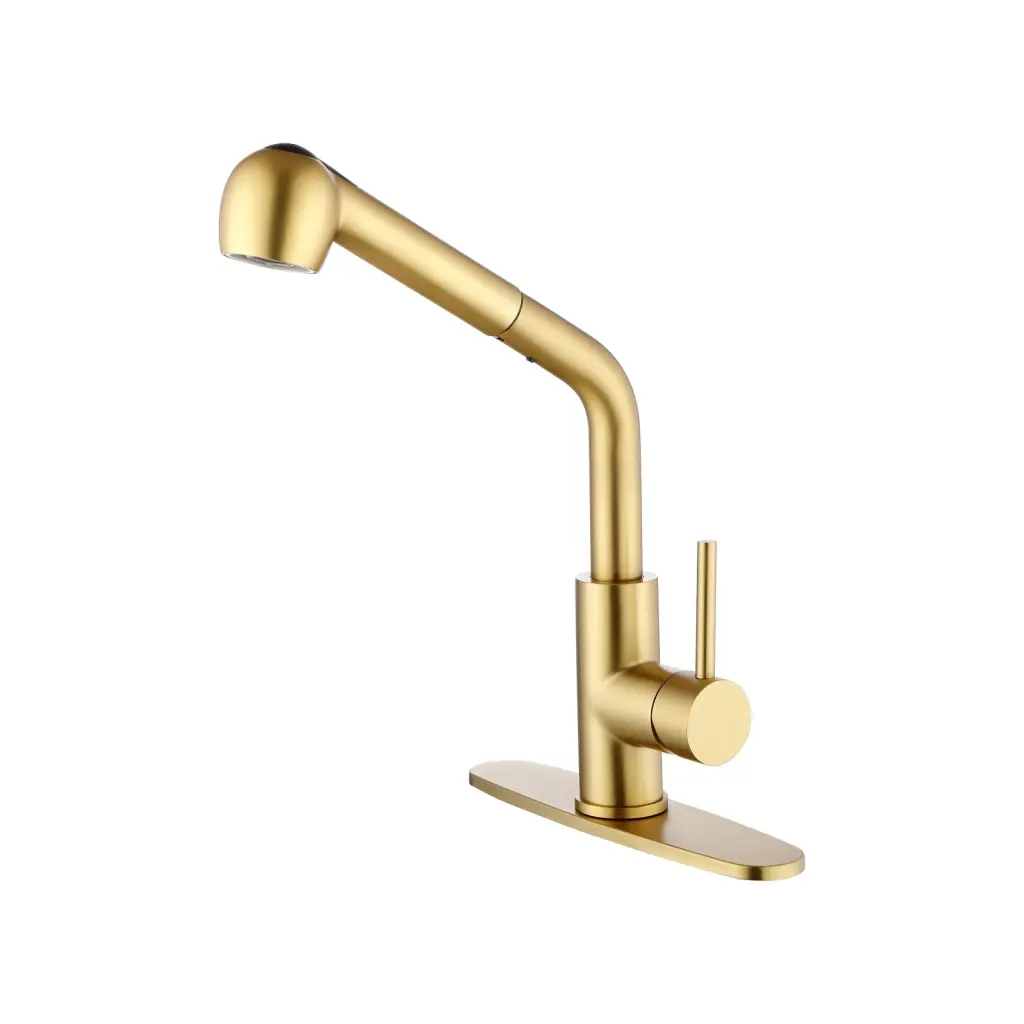 Single Handle Pull Out Laundry Faucet Dual Functionality Sink rnb