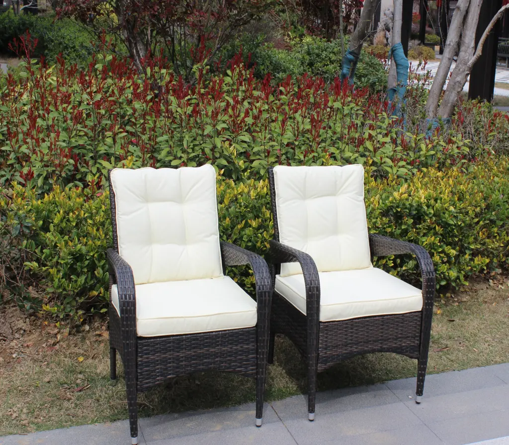 2 Piece Liberatore Dining Chairs Beige Cushions Brown Iron Frame Modern Kitchen Seating rattan furniture