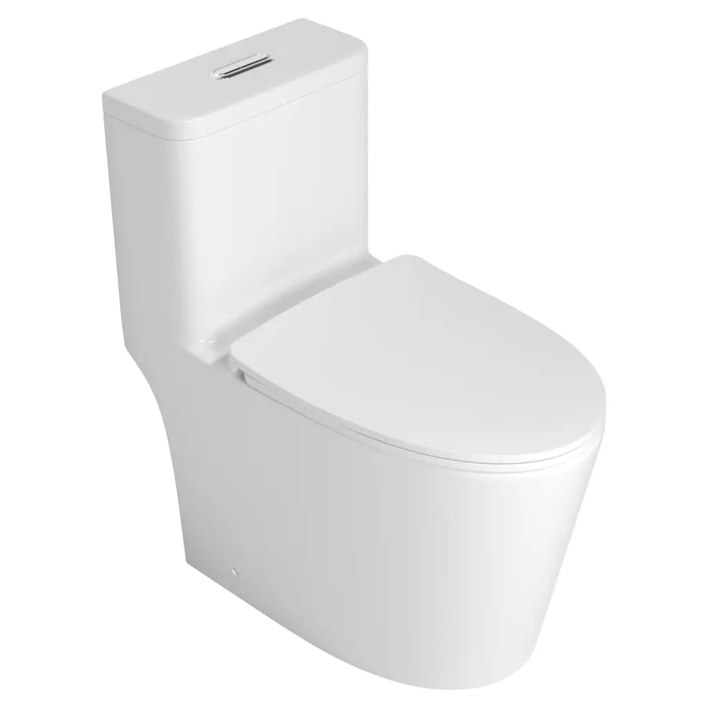 One Piece Toilet High Standard Accessories White Ceramic w2864