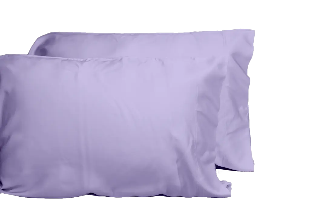 Opulent 2-Piece Bamboo Viscose Pillowcase Set Oeko-Tex Certified Bedding dty home