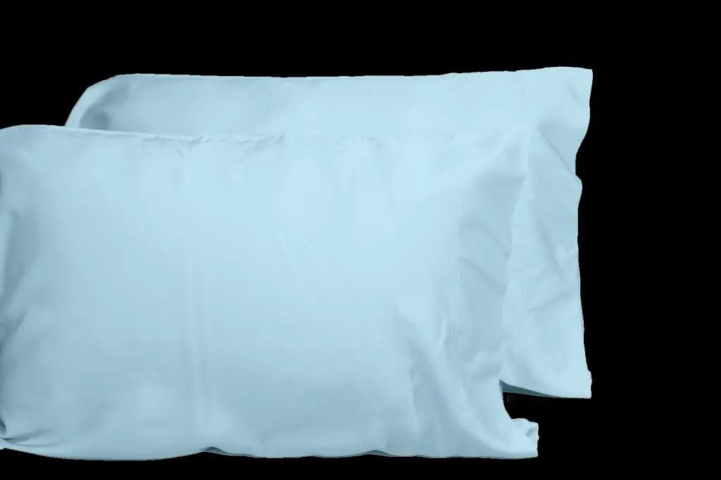 Opulent Viscose From 100% Bamboo 2 Piece Pillowcase Set Oeko Tex Certified dty home