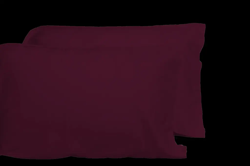 Opulent Viscose 2 Piece Pillowcase Set 100% Bamboo Oeko Tex Certified dty home