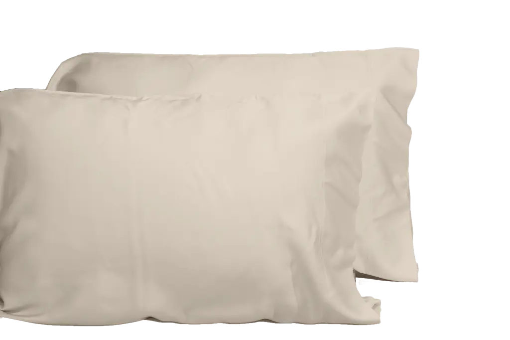 Opulent Viscose 2 Piece Pillowcase Set 100% Bamboo Oeko Tex Certified dty home