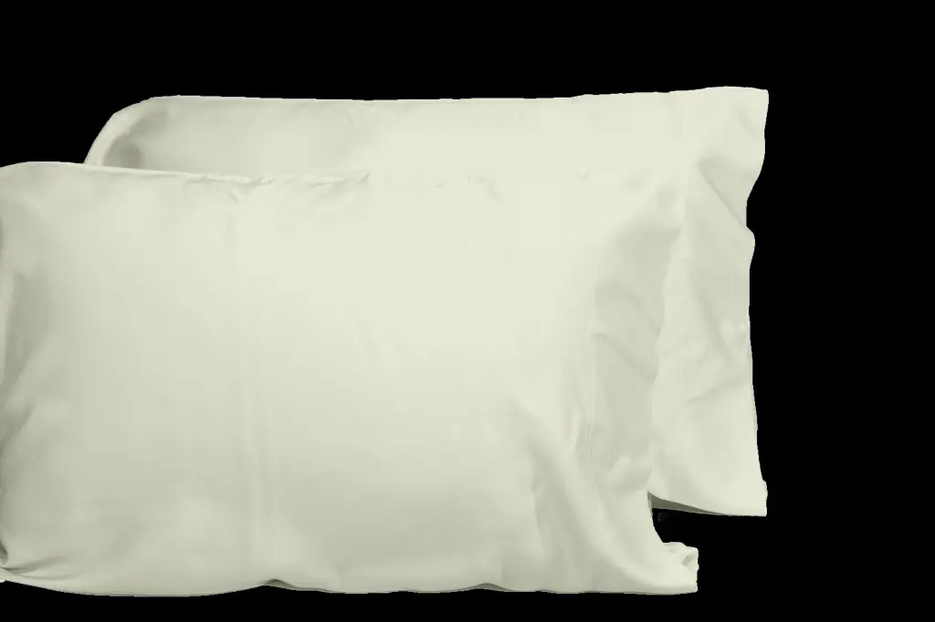 Opulent Viscose 100% Bamboo 2 Piece Pillowcase Set OEKO-TEX Certification dty home