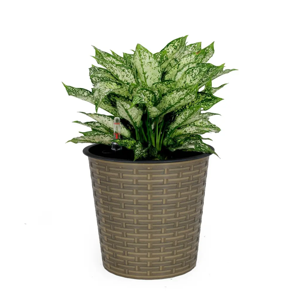 10.2 Inch Self Watering Wicker Decor Planter Indoor and Outdoor Round Pot dty home