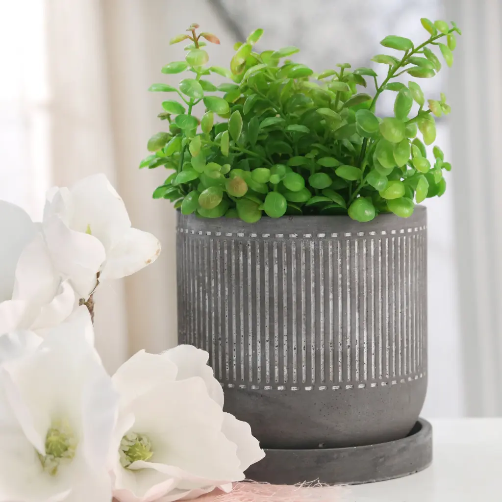 6 Inch Line Pattern Planter Saucer Gray Cement Indoor Plants homedecoraccessories
