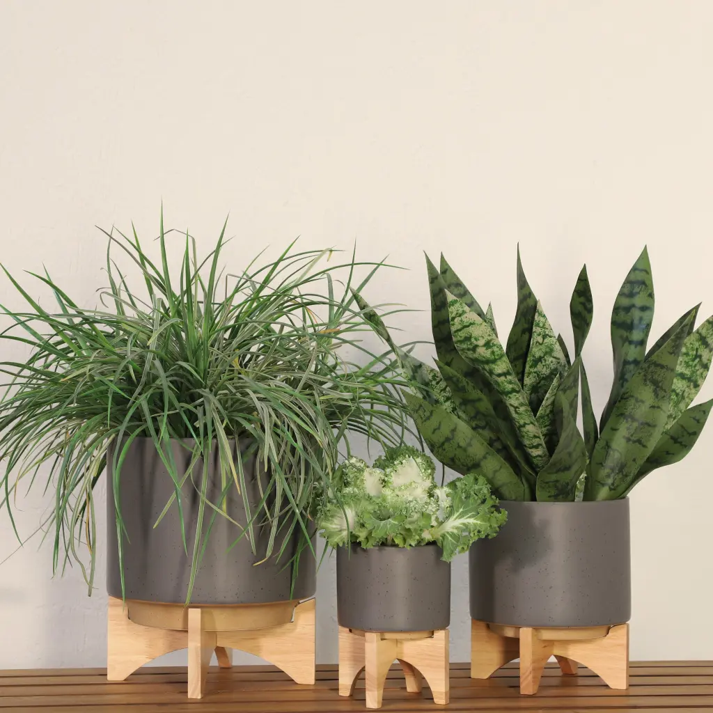 8 Inch Planter Wood Stand Matte Gray Ceramic homedecoraccessories