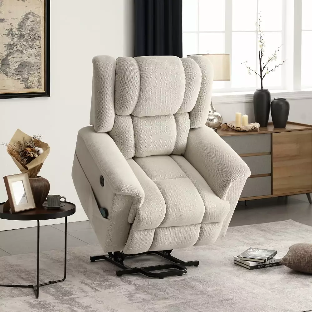 DeeHome Power Lift Recliner Chair Heat and Massage Elderly