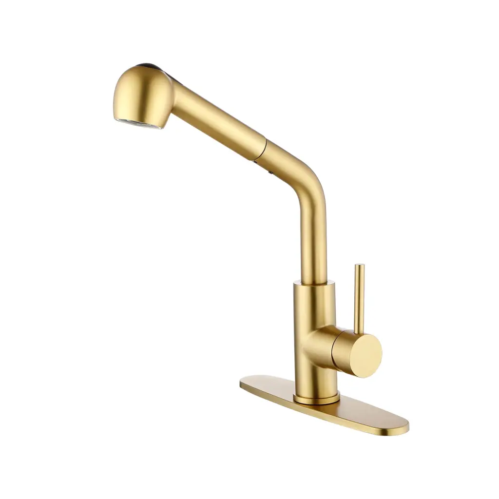 Single Handle Kitchen Sink Faucet Pull Out Sprayer Brushed Gold Finish w2287