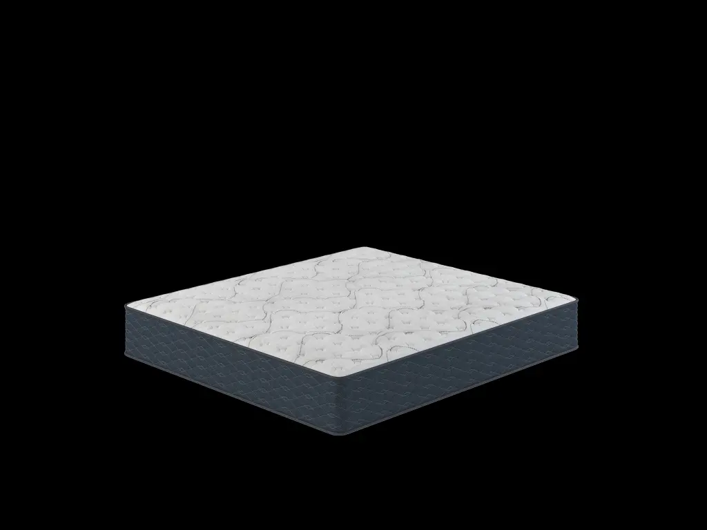 Restonic Easecare Dreamlux Firm Queen Size Mattress White Blue Steel Foam restonic mattress