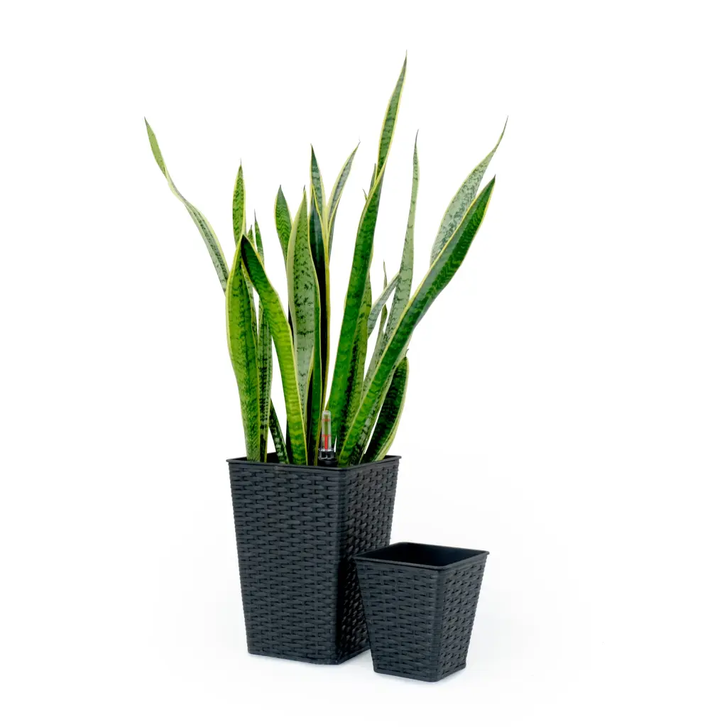 2 Pack Intelligent Self Watering Square Planter Indoor and Outdoor Plants dty home