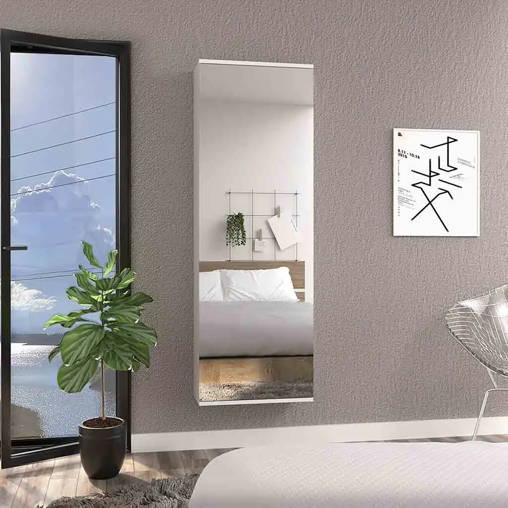 Wall Shoe Rack 54 Inch H Mirror Door And Five Internal Storage Shelves Entryway Organizer depot e-shop