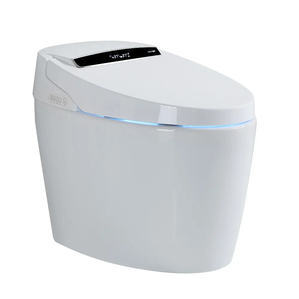 Intelligent Toilet Heated Bidet Seat Travel Friendly Bidet Toilet singularity
