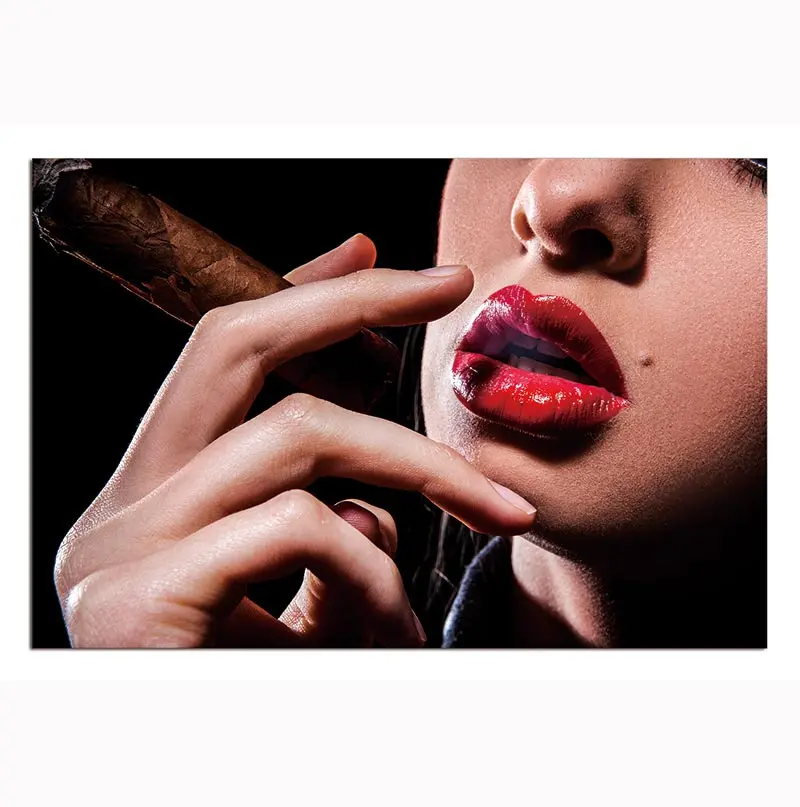 Oppidan Home Red Lip Cigar Acrylic Wall Art 32x48 Inches Multicolor furnings