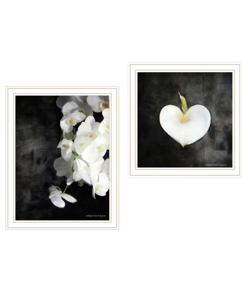 Botanical Flowers Framed Wall Art Print Living Room Decor trendy decor 4u