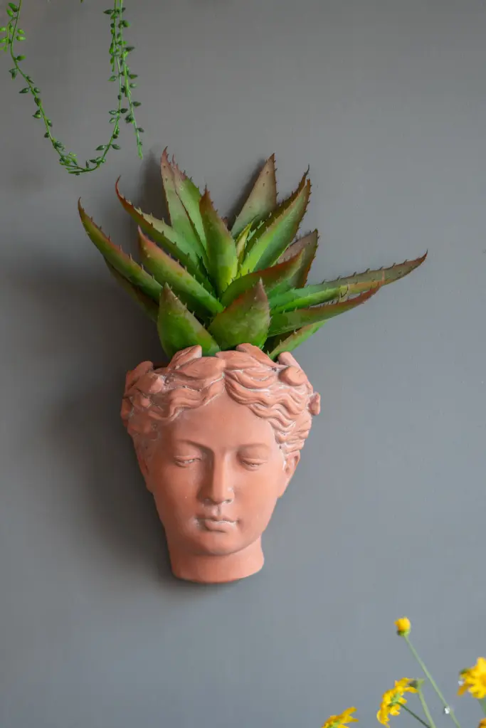 7X5.5X9 Inch Visage Head Bust Planter Brown Home Wall Planter Garden Decor w2078