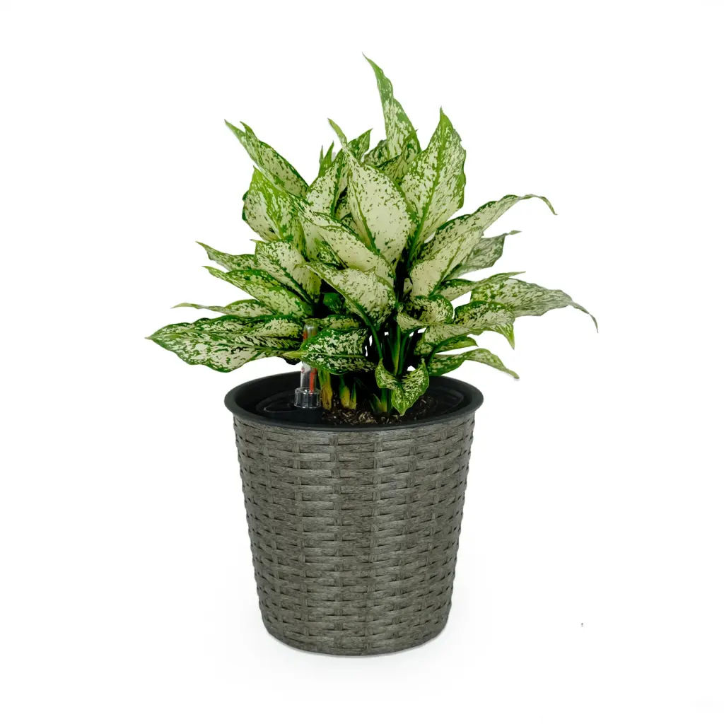 10.2 Inch Self Watering Wicker Planter Indoor and Outdoor Round Decor dty home